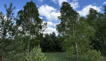 Działka rolno-budowlana Żeliszew Duży