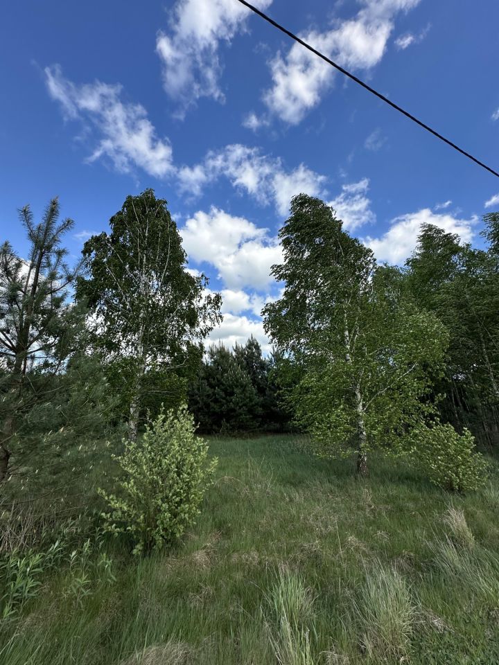 Działka rolno-budowlana Żeliszew Duży. Zdjęcie 2