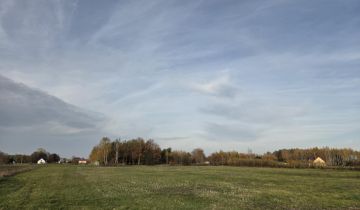 Działka budowlana Lubasz Podlesie, Krasińskiego