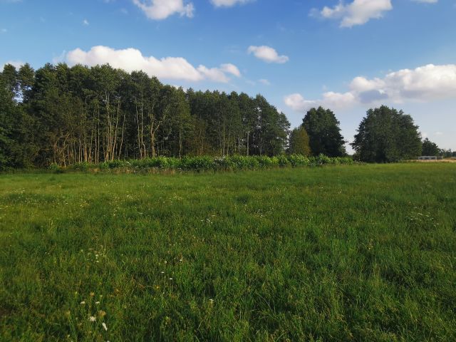 Działka rolna Grabniak Za Jeziorem. Zdjęcie 1