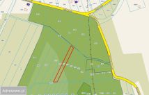 Działka leśna Wolica Piaskowa. Zdjęcie 1