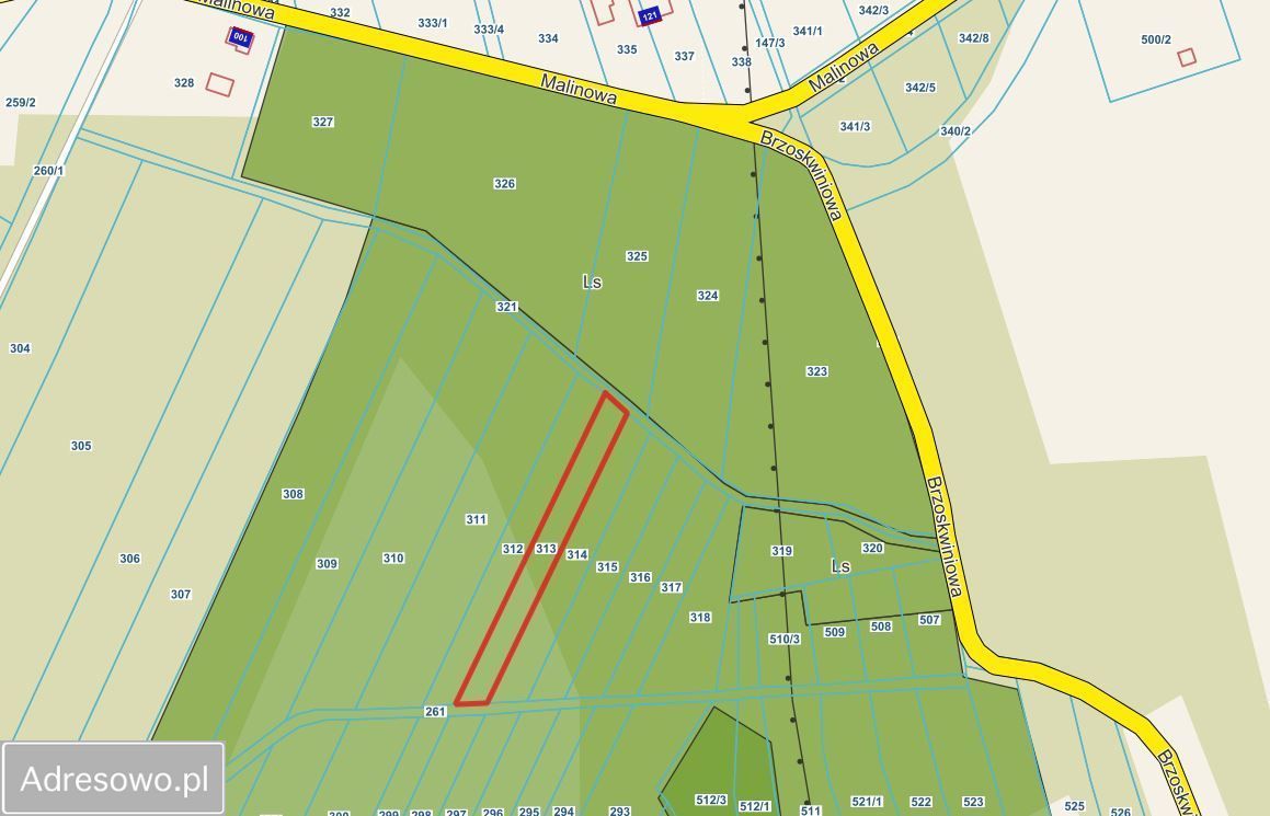 Działka leśna Sędziszów Małopolski Wolica Piaskowa. Zdjęcie 2