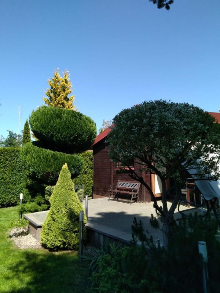 Działka rekreacyjna Murucin. Zdjęcie 1