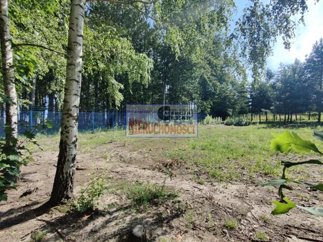 Działka rolno-budowlana Janów. Zdjęcie 8
