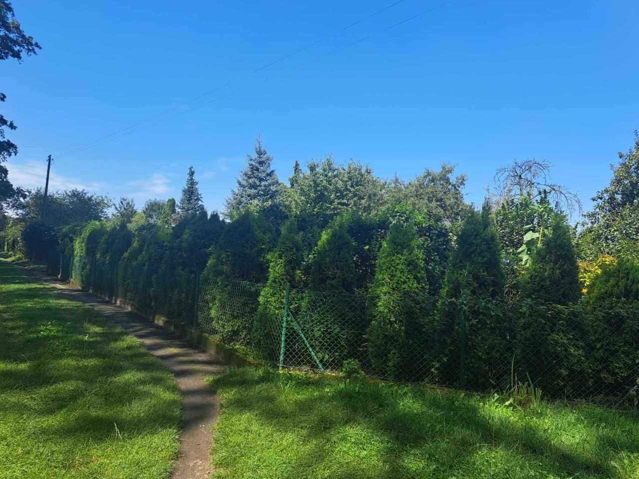 Działka rod Kluczbork, al. Pokoju. Zdjęcie 4