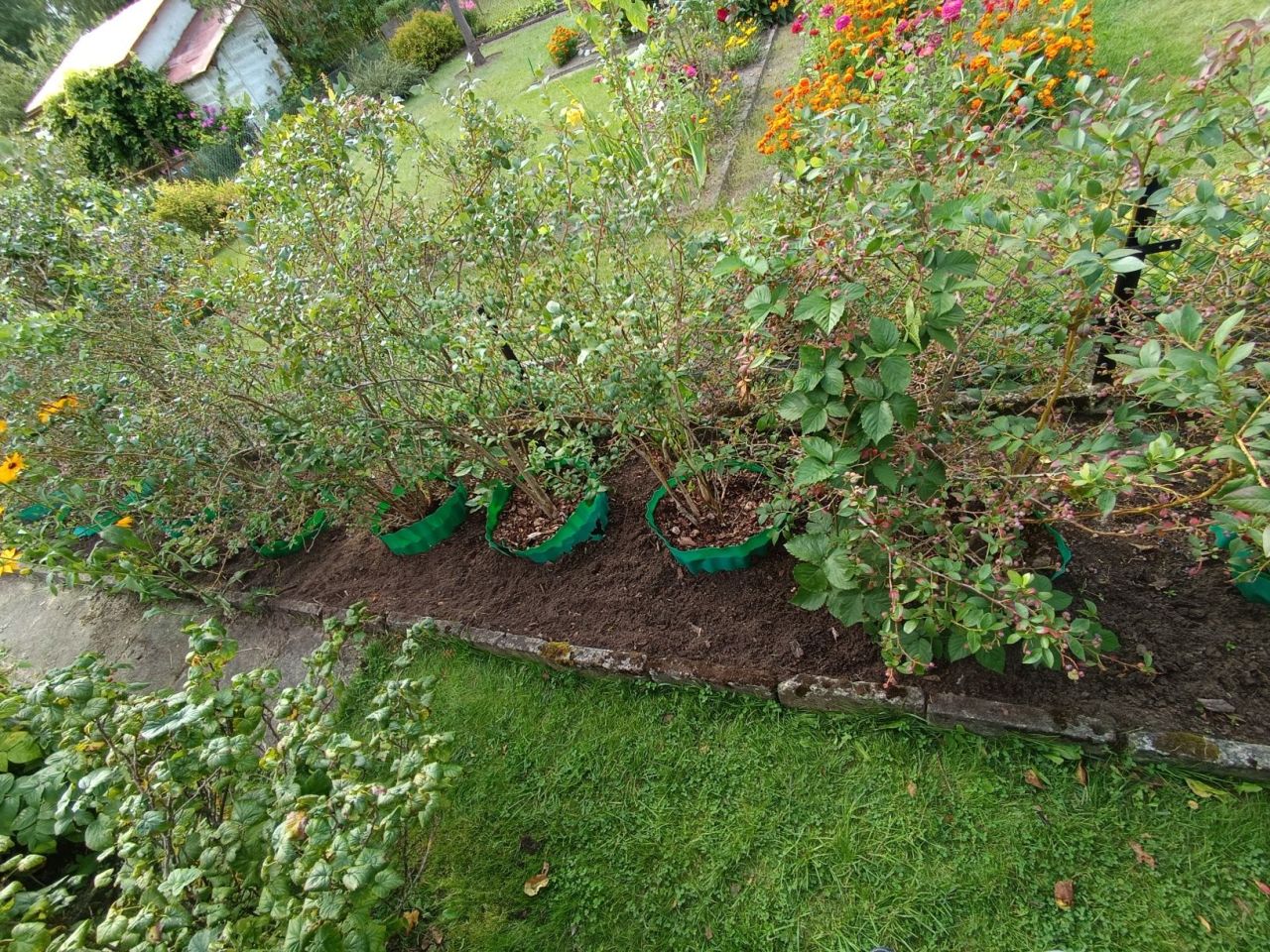 Działka rod Koszalin, ul. Wojska Polskiego. Zdjęcie 4
