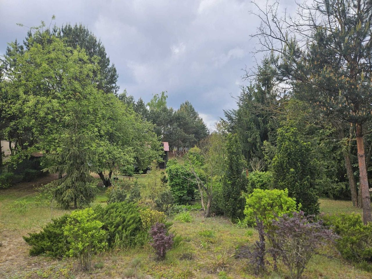 Działka rekreacyjna Marianów. Zdjęcie 3