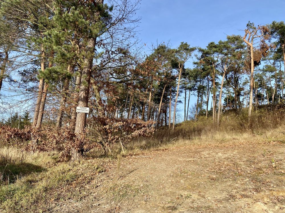 Działka budowlana Ostrowiec Świętokrzyski Centrum, ul. Stefana Żeromskiego. Zdjęcie 5
