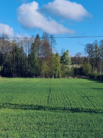 Działka rolno-budowlana Stoczek. Zdjęcie 1