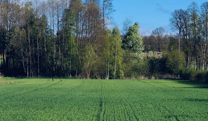 Działka rolno-budowlana Stoczek