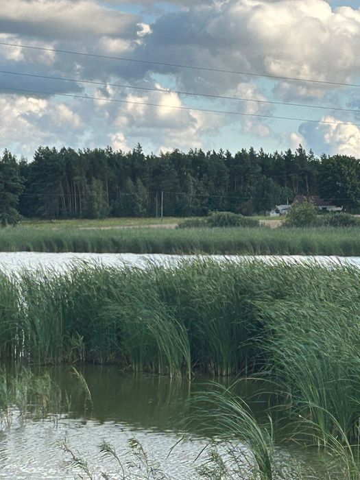 Działka budowlana Lubsin. Zdjęcie 7