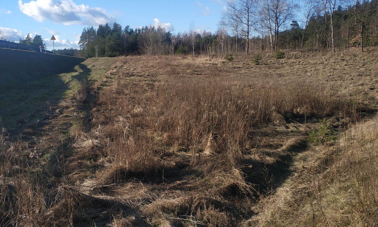 Działka rolno-budowlana Młynowo. Zdjęcie 3