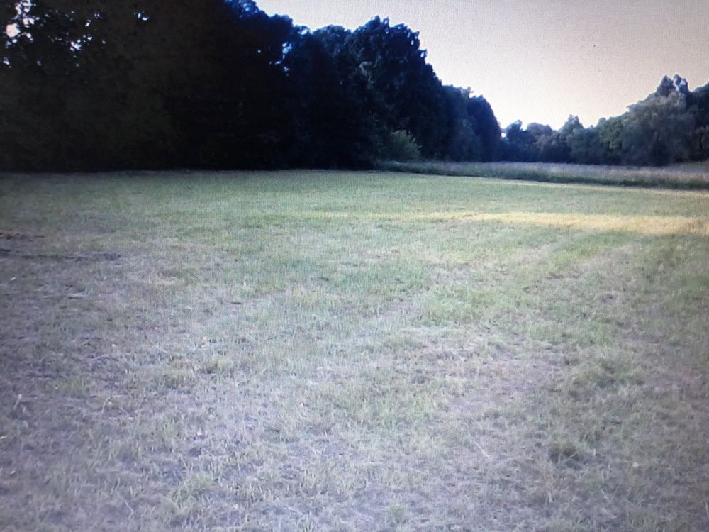 Działka Zawada. Zdjęcie 3