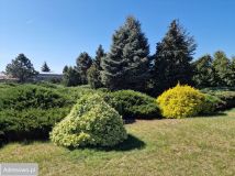 dom wolnostojący, 4 pokoje Jabłonna, ul. Kościelna. Zdjęcie 2