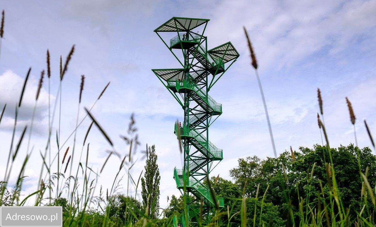 Działka budowlana Kotowice, ul. Ogrodowa. Zdjęcie 6