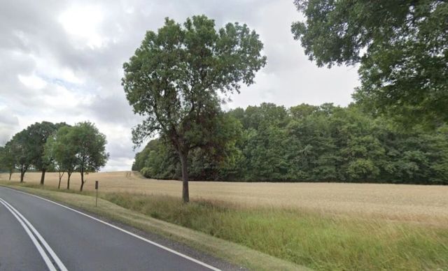 Działka inwestycyjna Sady Dolne. Zdjęcie 3