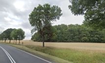 Działka inwestycyjna Sady Dolne. Zdjęcie 2