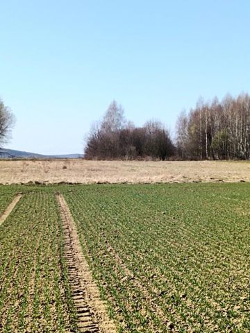 Działka budowlana Świerzowa Polska. Zdjęcie 13