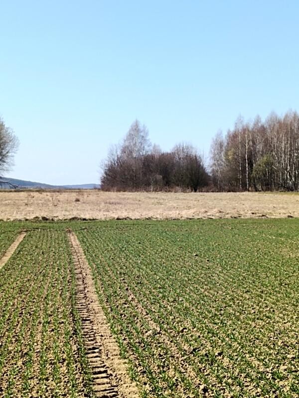 Działka budowlana Świerzowa Polska. Zdjęcie 13