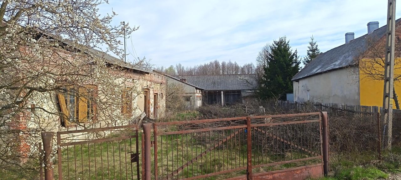 dom wolnostojący, 7 pokoi Gertrudów Zygmuntów. Zdjęcie 12