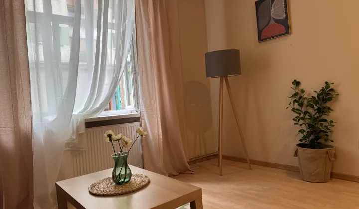 Mieszkanie 1-pokojowe Kraków Podgórze, ul. św. Kingi