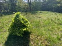 Działka budowlana Szklarska Poręba Szklarska Poręba Górna, ul. Hugona Kołłątaja. Zdjęcie 3