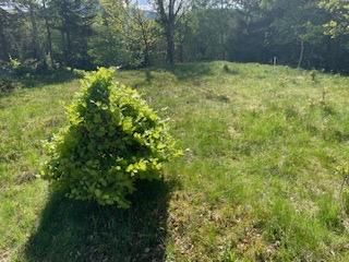 Działka budowlana Szklarska Poręba Szklarska Poręba Górna, ul. Hugona Kołłątaja. Zdjęcie 4