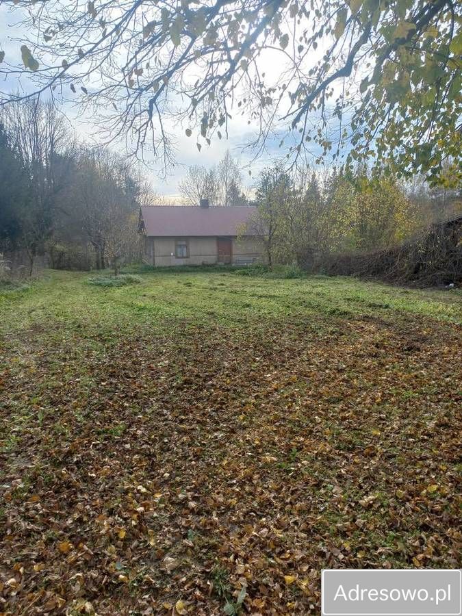 Działka siedliskowa Antoniówka. Zdjęcie 7