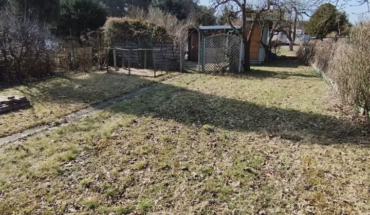 Działka rod Zielona Góra, ul. Łużycka