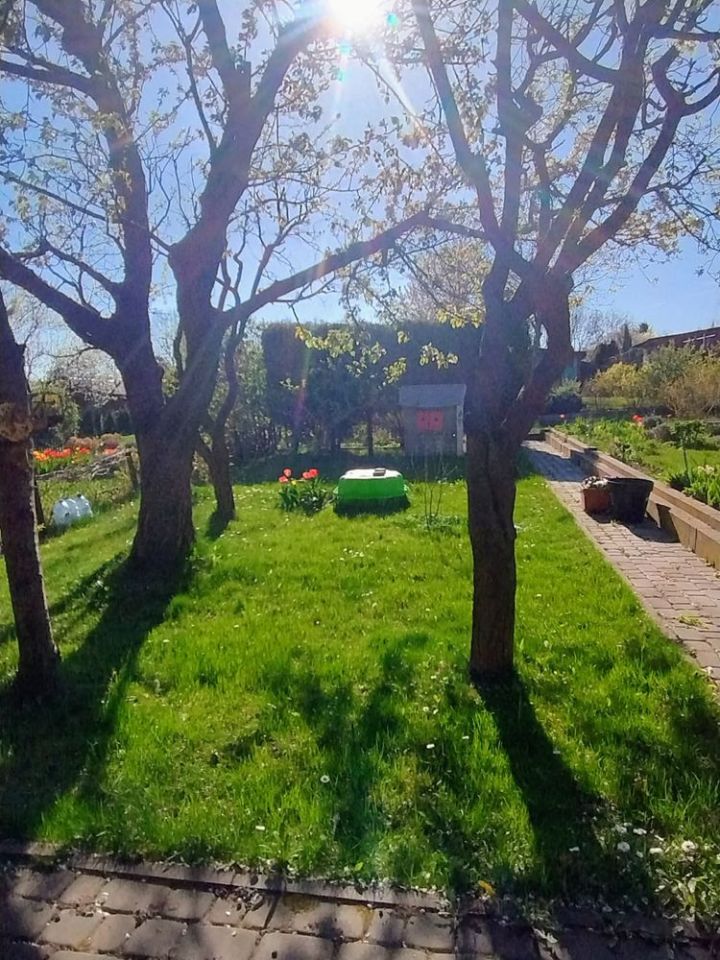 Działka rod Starachowice, ul. Martenowska. Zdjęcie 6