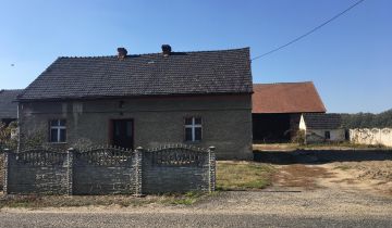 Działka budowlana Grabina, Grabina 34