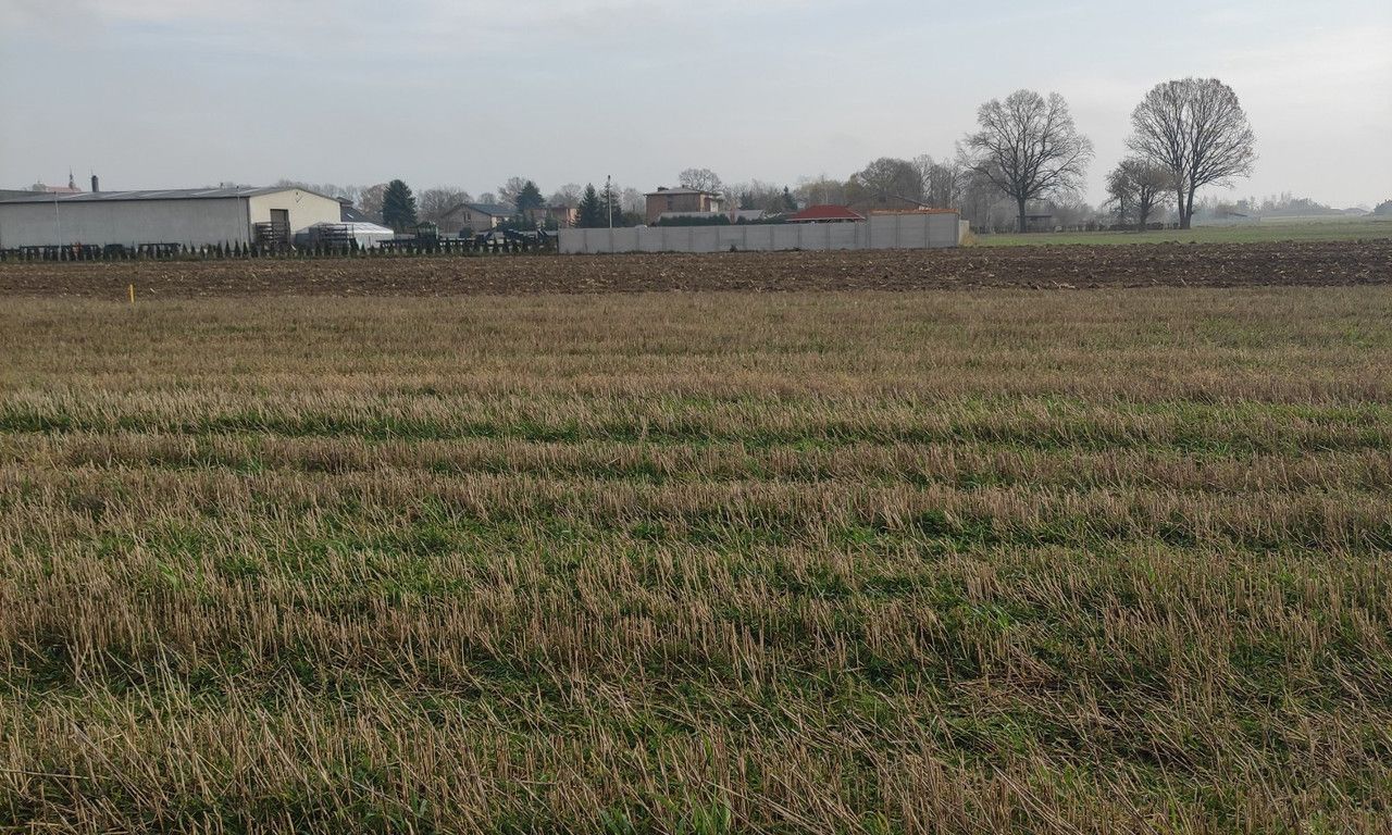 Działka rolna Brzeźnio, ul. Wspólna. Zdjęcie 12