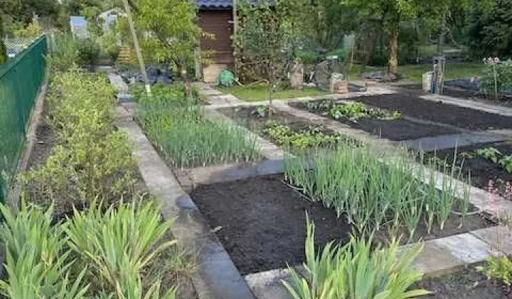 Działka rod Wrocław Krzyki