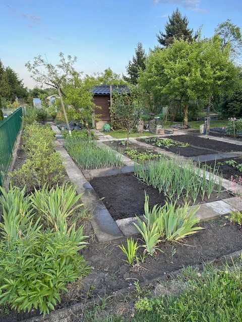 Działka rod Wrocław Krzyki