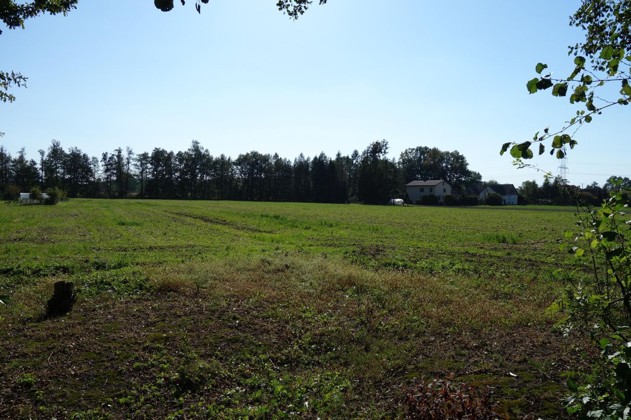 Działka siedliskowa Skoczów. Zdjęcie 5