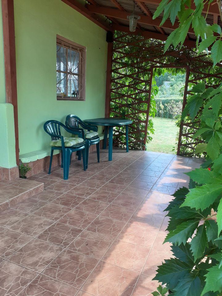 Działka rod Osiek. Zdjęcie 2