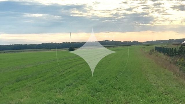 Działka rolna Piecki. Zdjęcie 5