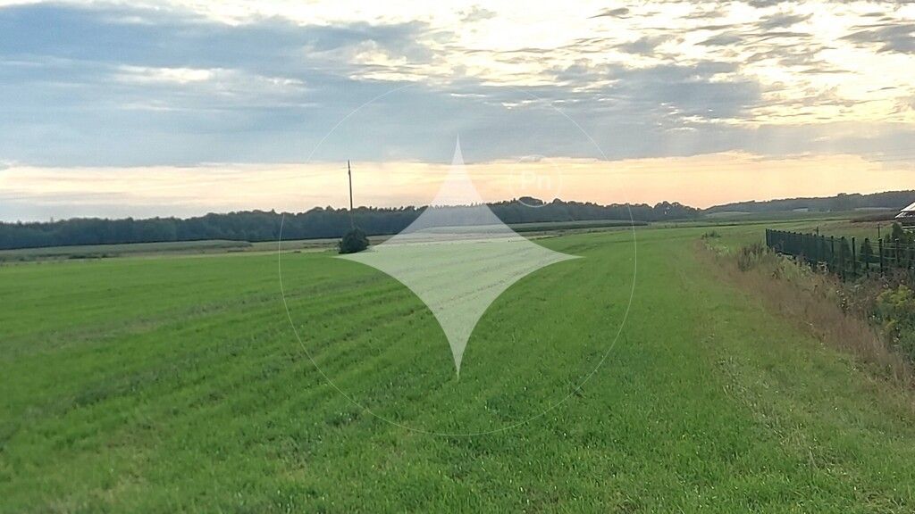 Działka rolna Piecki. Zdjęcie 5