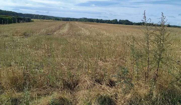 Działka rolna Trzebawie