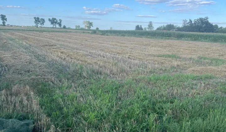 Działka rolno-budowlana Łaguszew Kolonijka, Łaguszew