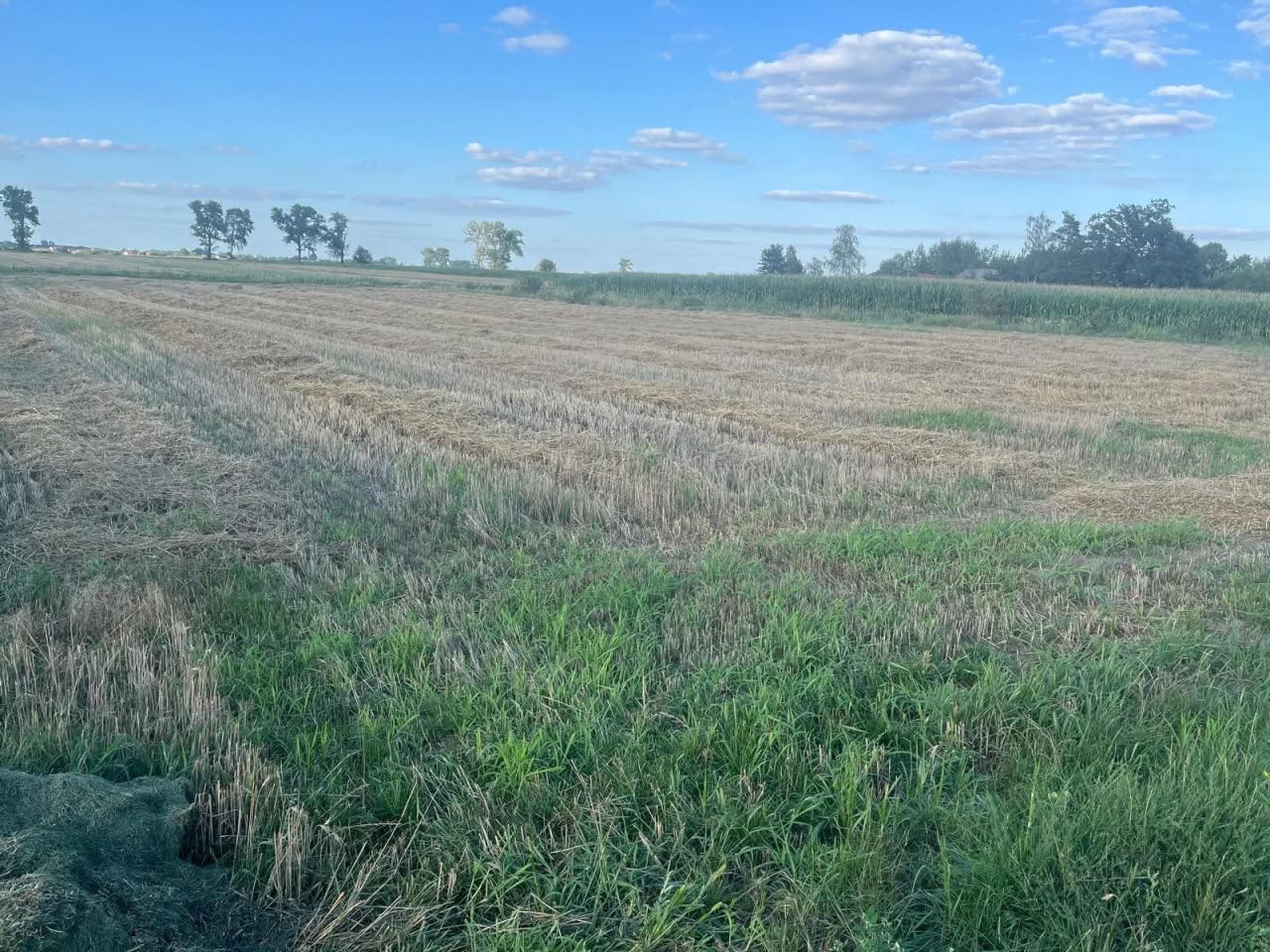Działka rolno-budowlana Łaguszew Kolonijka, Łaguszew. Zdjęcie 1