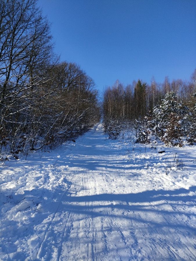 Działka rekreacyjna Wygoda. Zdjęcie 6
