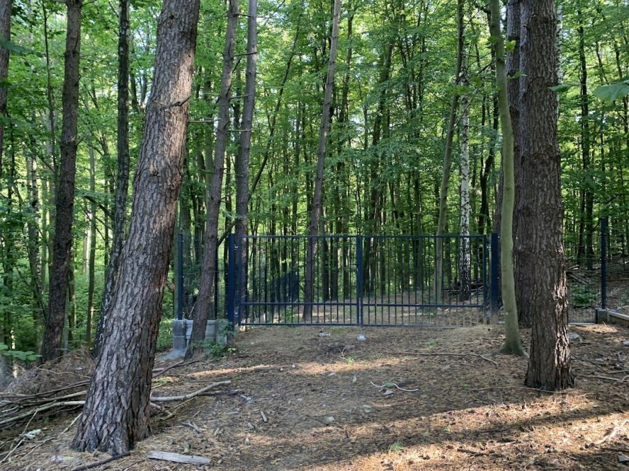 Działka rod Gdańsk Matarnia, ul. mjr. Mieczysława Słabego. Zdjęcie 2