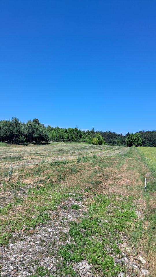 Działka budowlana Łaszczówka-Kolonia, ul. Przemysłowa. Zdjęcie 3