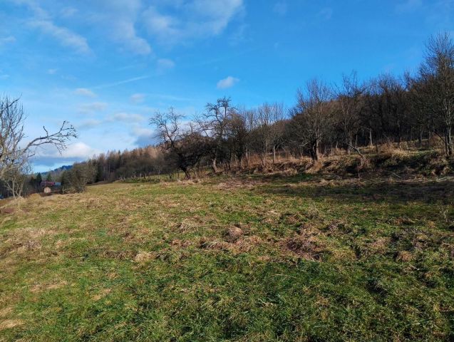 Działka rolno-budowlana Szczawnica, ul. Staszowa. Zdjęcie 1