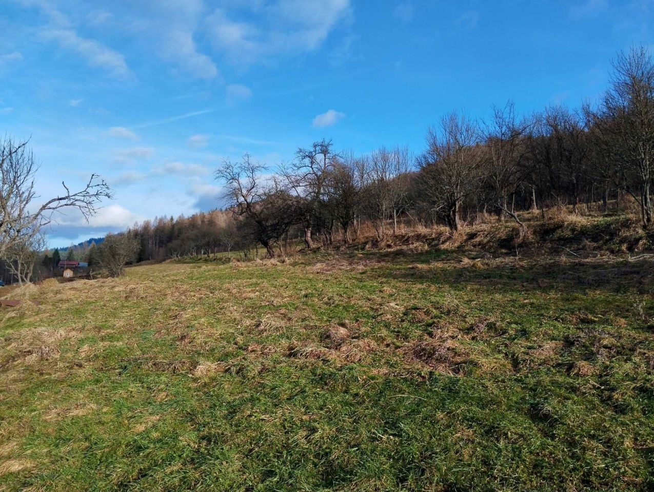 Działka rolno-budowlana Szczawnica, ul. Staszowa