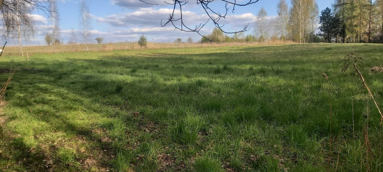 Działka budowlana Snopków, ul. Widokowa. Zdjęcie 1