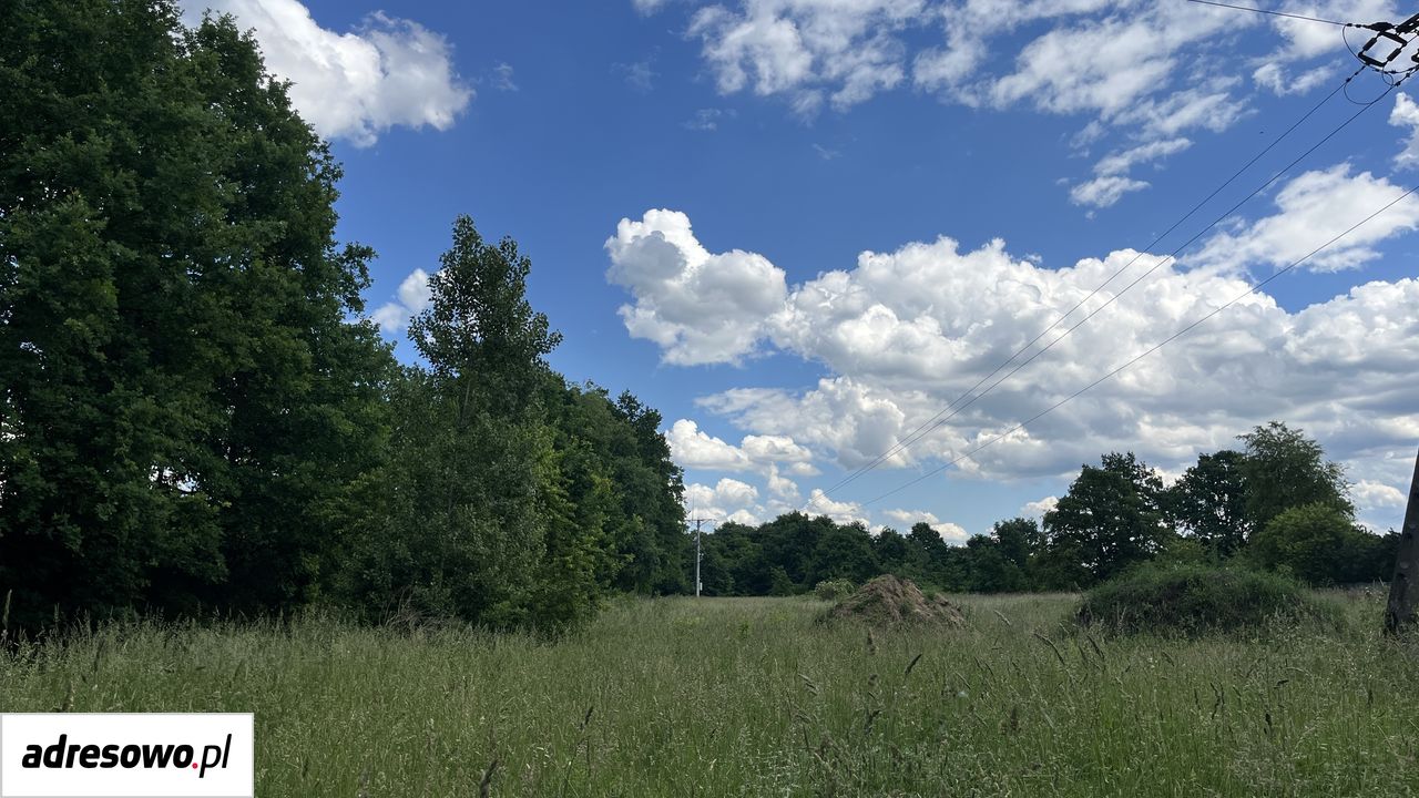 Działka budowlana Sieniawa Żarska, ul. Kolonia. Zdjęcie 4