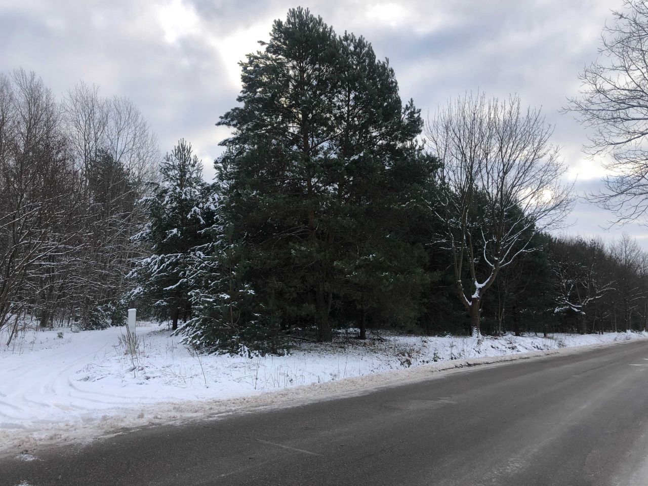 Działka budowlana Zgrzebichy. Zdjęcie 5