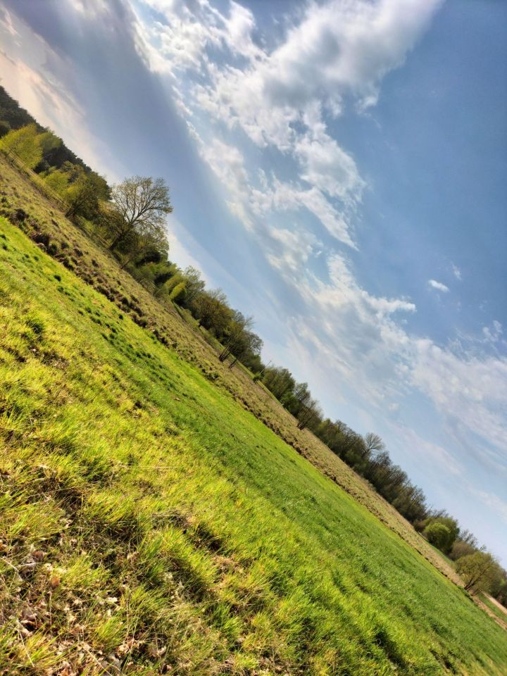 Działka rekreacyjna Orłowo. Zdjęcie 8